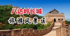 免费看男人的硬鸡巴日女人的硬逼逼中国北京-八达岭长城旅游风景区