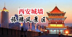 骚到下面射的视频中国陕西-西安城墙旅游风景区